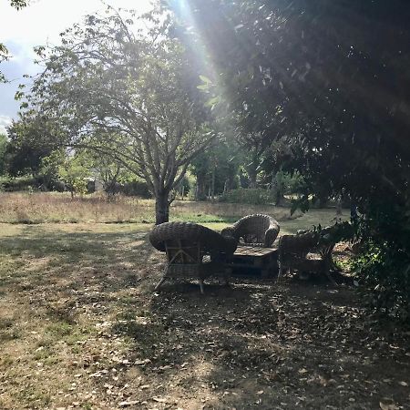 Maison Chaleureuse Et Calme Panazol Exteriér fotografie